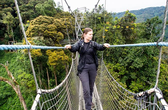 10 Frequently asked questions about Nyungwe national park